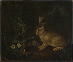 Hase am Waldrand mit Disteln und Pilzen by Franz de Hamilton