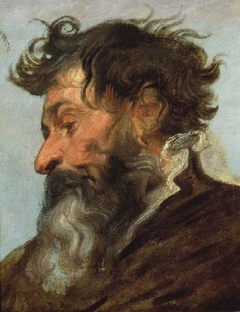 Head of a man in profile facing left by Anthony van Dyck