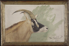 Kop van roan-antilope by Wilhelm Kuhnert