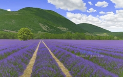 La Chaleur et Le Coeur de La Provence by Brett Lohn