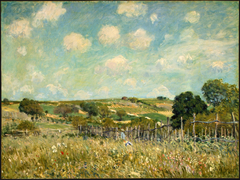 Meadow by Alfred Sisley