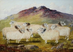 Nine Sheep in a Landscape by William Taylor Longmire