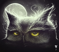 Owl & the moon by Dr. Brezak