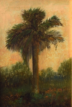 Palm Tree by Ben Austrian