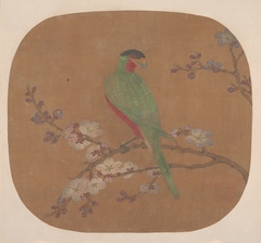 Parrot on Branch of Blossoming Tree by anonymous painter