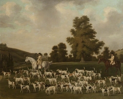 Peter Beckford's Hounds by Francis Sartorius
