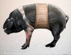 Pig in a Corset by Ruth Cadden