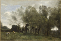 Pollard Willows by Jean-Baptiste-Camille Corot