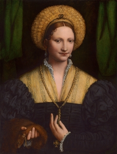 Portrait of a Lady by Bernardino Luini