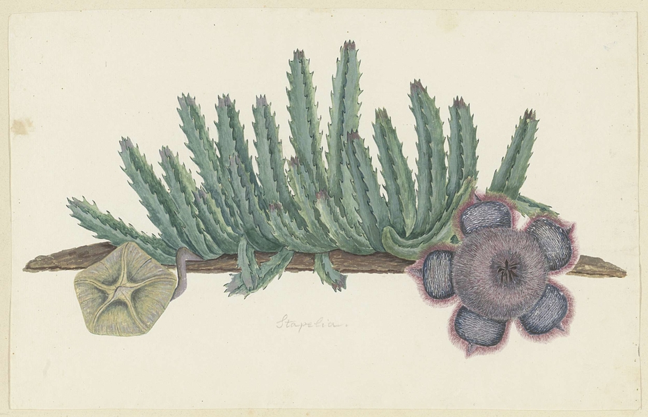 Exhibit image