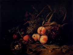 Still-Life with Fruit and Insects by Rachel Ruysch