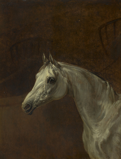 Study of a Grey Horse by Edmund Bristow