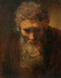 Study of an Old Man by Anonymous