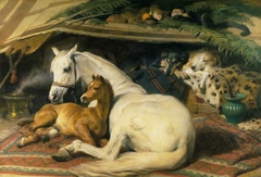 The Arab Tent by Edwin Landseer