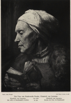 The Wife of Rembrandt's Brother by Karel van der Pluym