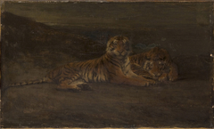 Tigers by John Macallan Swan