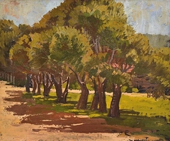 Trees at Port Elliot by Jeffrey Smart