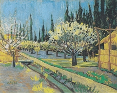 Flowering orchard, surrounded by cypress by Vincent van Gogh