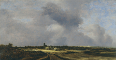 View of Naarden and the church of Muiderberg by Jacob van Ruisdael