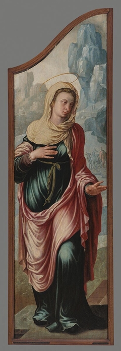 Virgin by Maarten van Heemskerck