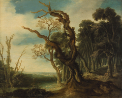 Waldlandschaft by Jacob van Geel