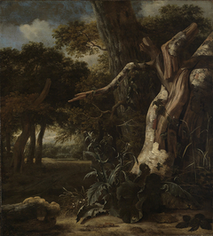 Waldlandschaft mit einer vom Blitz getroffenen Buche by 'the other' Jan van Kessel