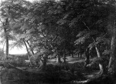 Woodland Scene from Southern Sweden by Carl Johan Fahlcrantz