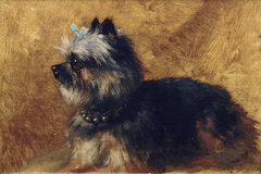 Yorkshire Terrier by Henriëtte Ronner-Knip