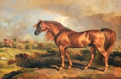 A Chestnut Stallion in the Grounds of Powis Castle by James Ward