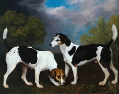 A Couple of Foxhounds by George Stubbs