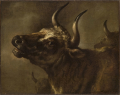 Bellowing Bull by Paulus Potter