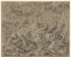 Bosgezicht in het Bois de Soignes bij Brussel by Anthonie Waterloo