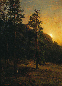 California Redwoods by Albert Bierstadt