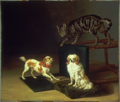 Cat Playing with Two Dogs by Paulus Potter