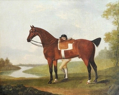 'Chance', a Bay Horse and Jockey by Thomas Stringer