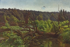 Deep forest – Windthrows by Józef Chełmoński