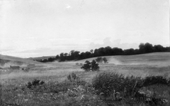 Evening Landscape by Jørgen Sonne