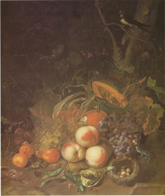 Fruit still life with a bird's nest and lizard by Rachel Ruysch