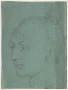 Head of a Young Woman by Albrecht Dürer the Elder