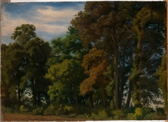 Landscape in Germany, Study by Werner Holmberg