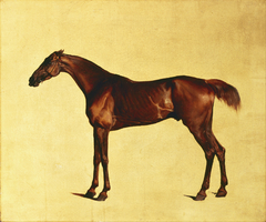 Pangloss by George Stubbs