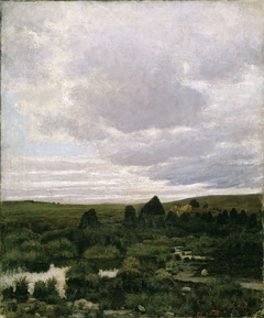 Peat Bog at Jæren by Kitty Lange Kielland