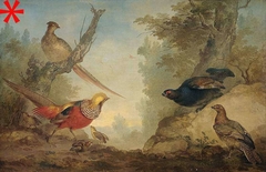 Pheasants by Aert Schouman