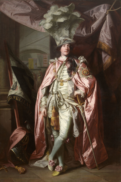 Portrait of Charles Coote, 1st Earl of Bellamont (1738-1800), in Robes of the Order of the Bath by Joshua Reynolds F