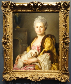 Portrait of Madame Fréret d’Héricourt by Joseph Duplessis