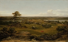 Rocks in New England by Martin Johnson Heade