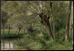 Stream through the Forest by César de Cock