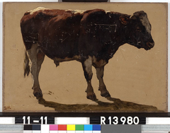 Studie van een stier by Johannes Hubertus Leonardus de Haas