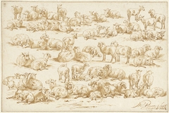 Studies van schapen by Jan van Ravenswaay