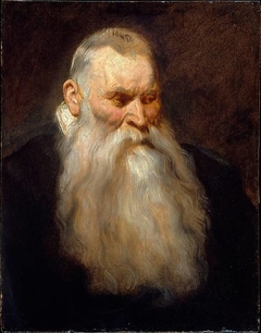 Study Head of an Old Man with a White Beard by Anthony van Dyck